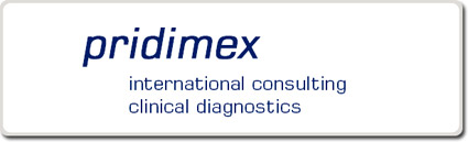 internationales Consulting